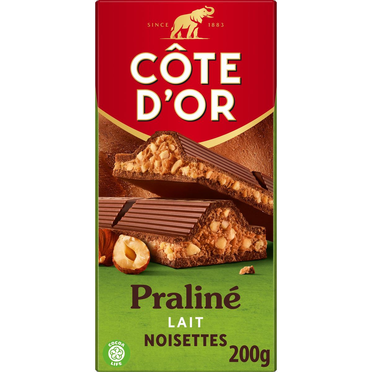 CÔTE D’OR Praliné lait Noisettes 200g